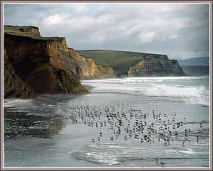 Point Reyes National Seashore in Inverness, California